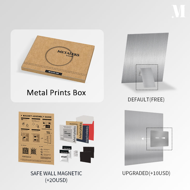 ULTRA HD METAL PRINT