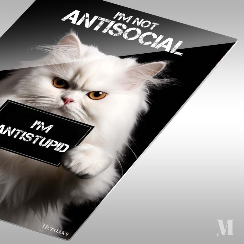 Antisocial Cute Cat