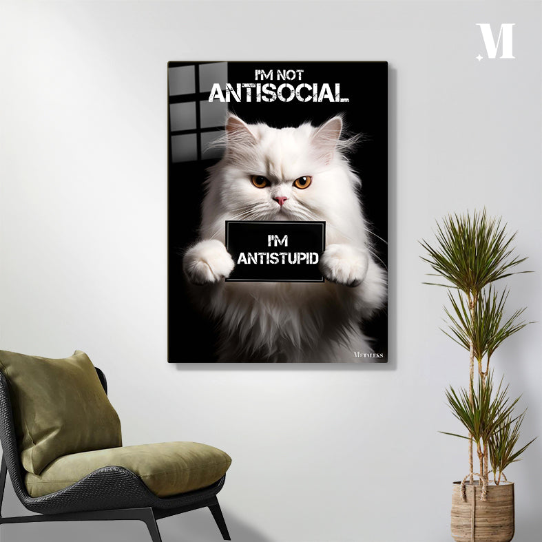Antisocial Cute Cat