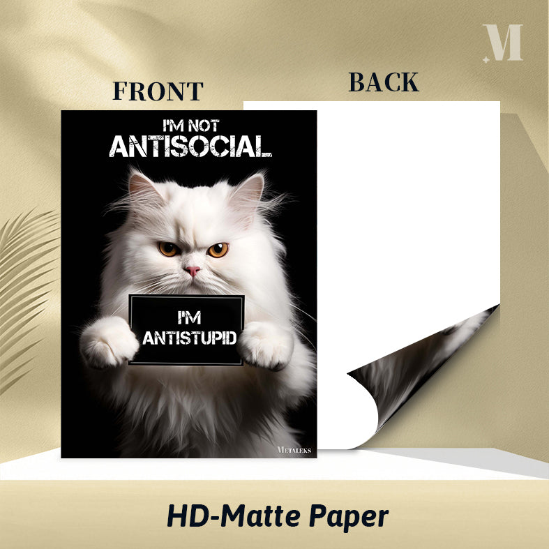 Antisocial Cute Cat