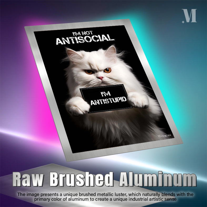 Antisocial Cute Cat