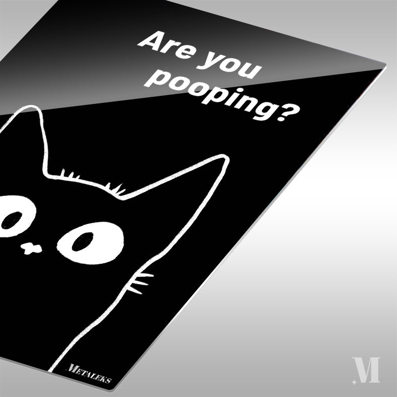 Black cat are you pooping_