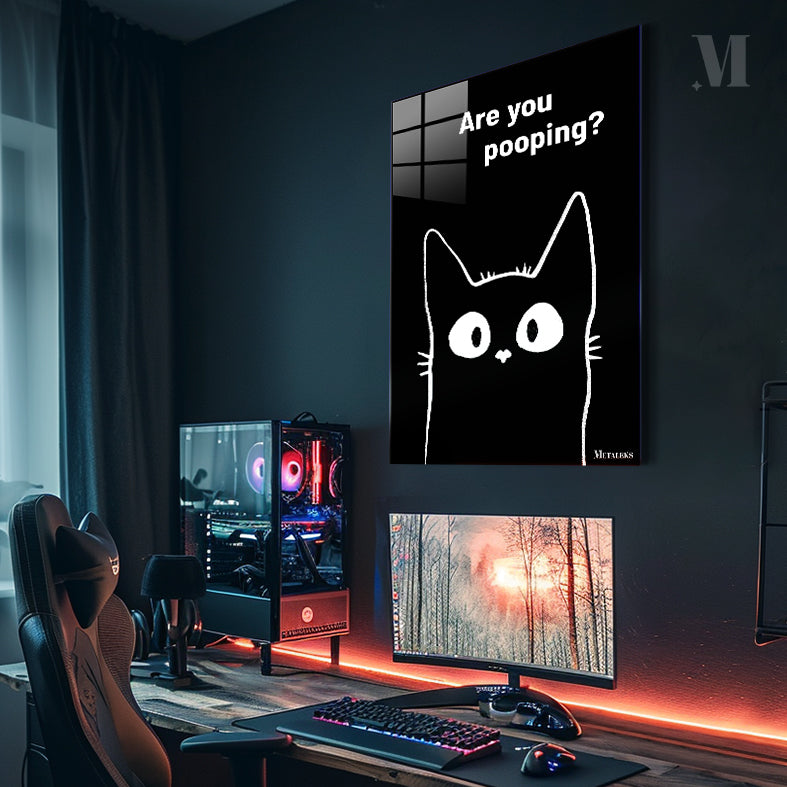 Black cat are you pooping_