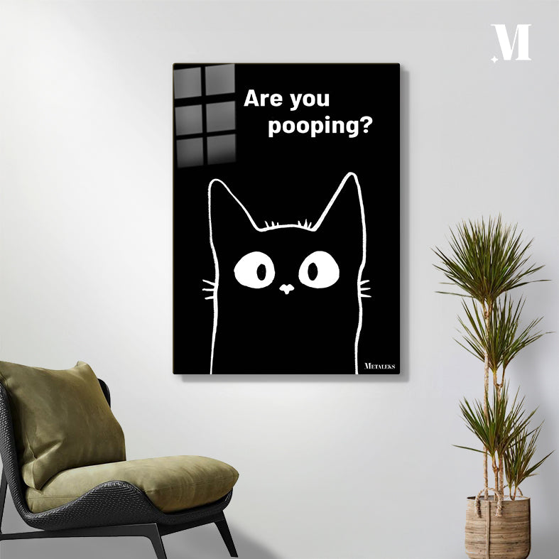 Black cat are you pooping_