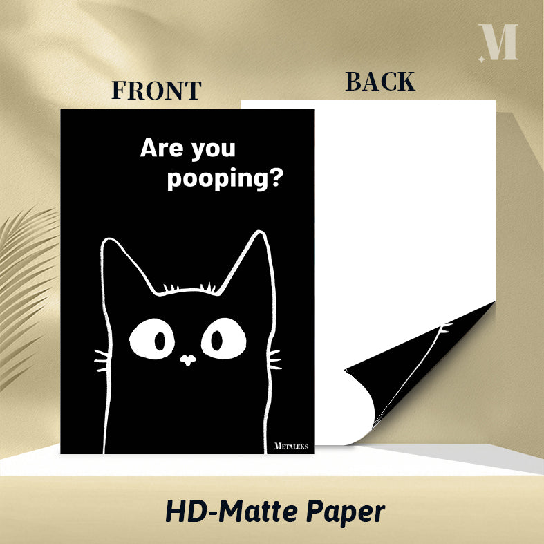 Black cat are you pooping_