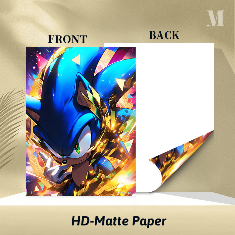 Blue Blur's Adventure Sonic's Speedy Quest