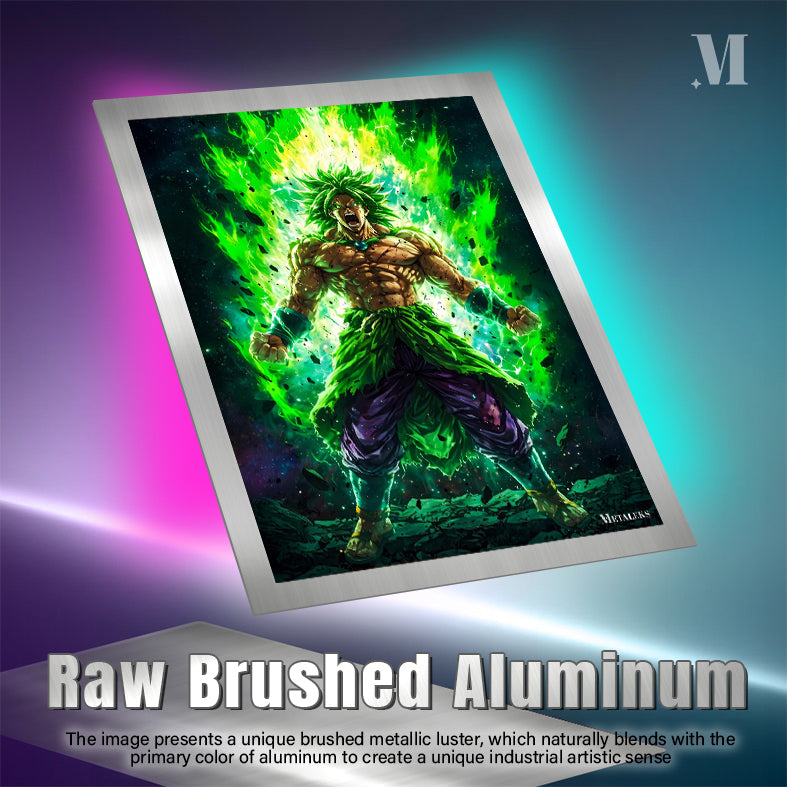 Broly Dragon Ball A0724