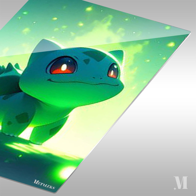 Bulbasaur Pokemon 02 A0730-25