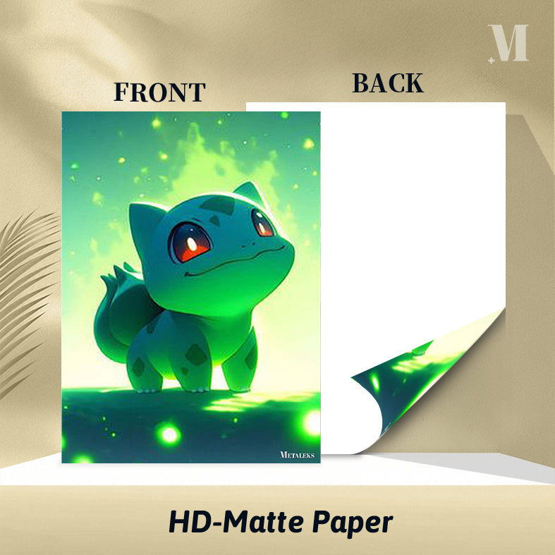 Bulbasaur Pokemon 02 A0730-25