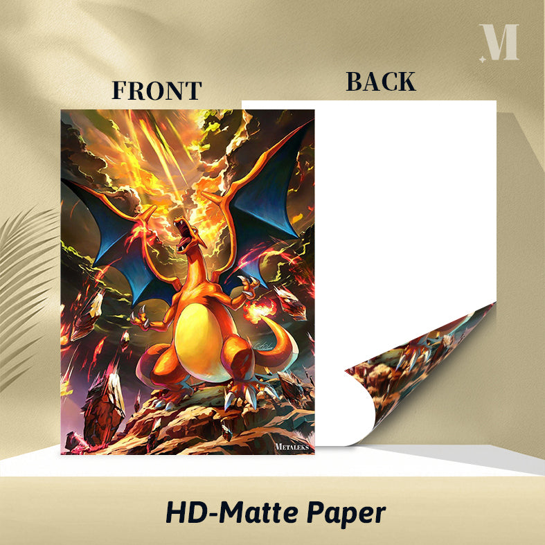 Charizard Pokemon D0801-25