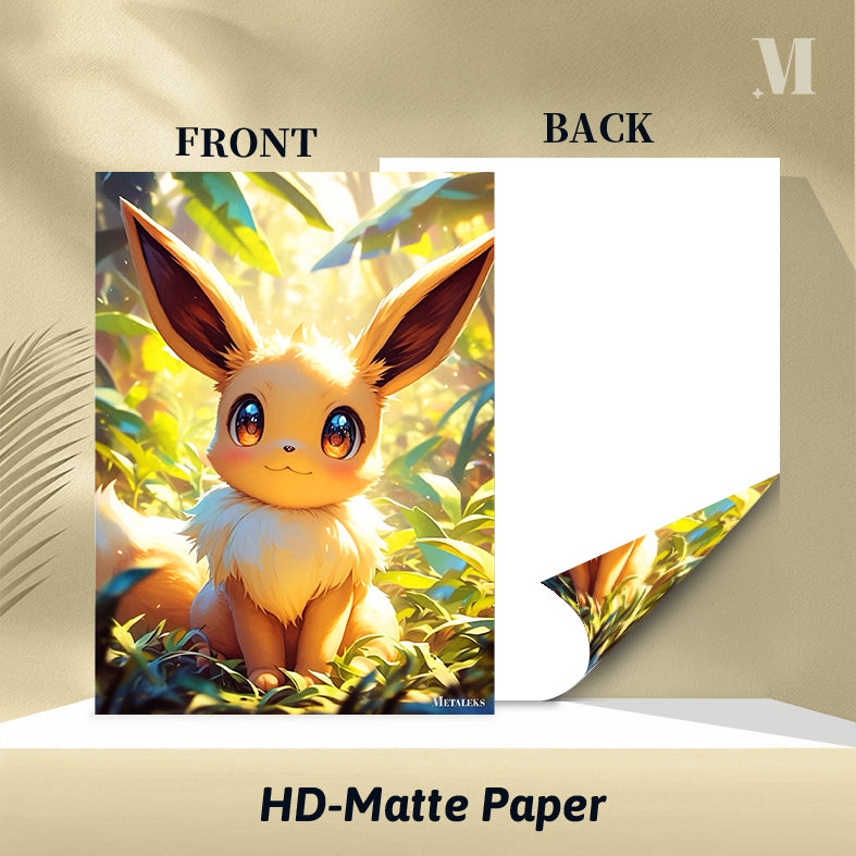 Eevee Pokemon A0730-25