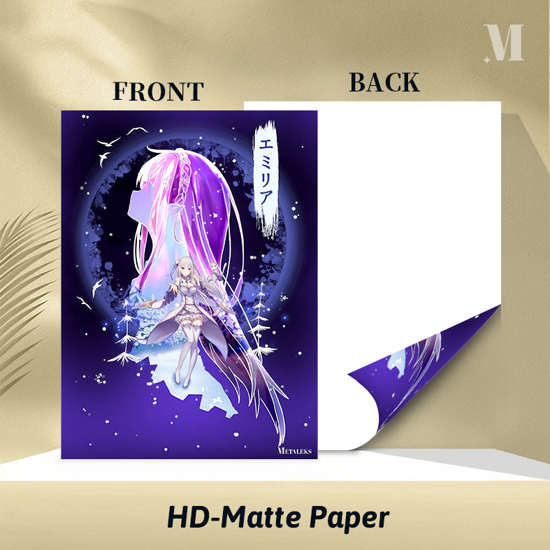 Emilia ReZero CS082925