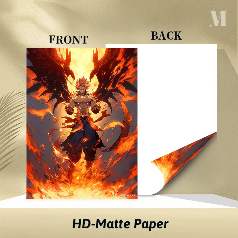 FAIRYTAIL|Natsu 1