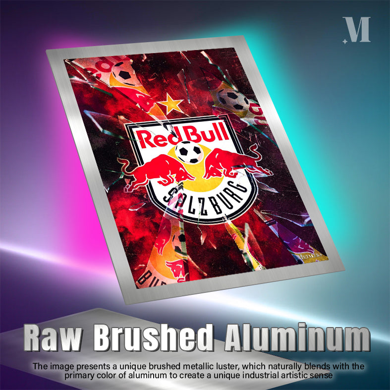 FC Salzburg poster