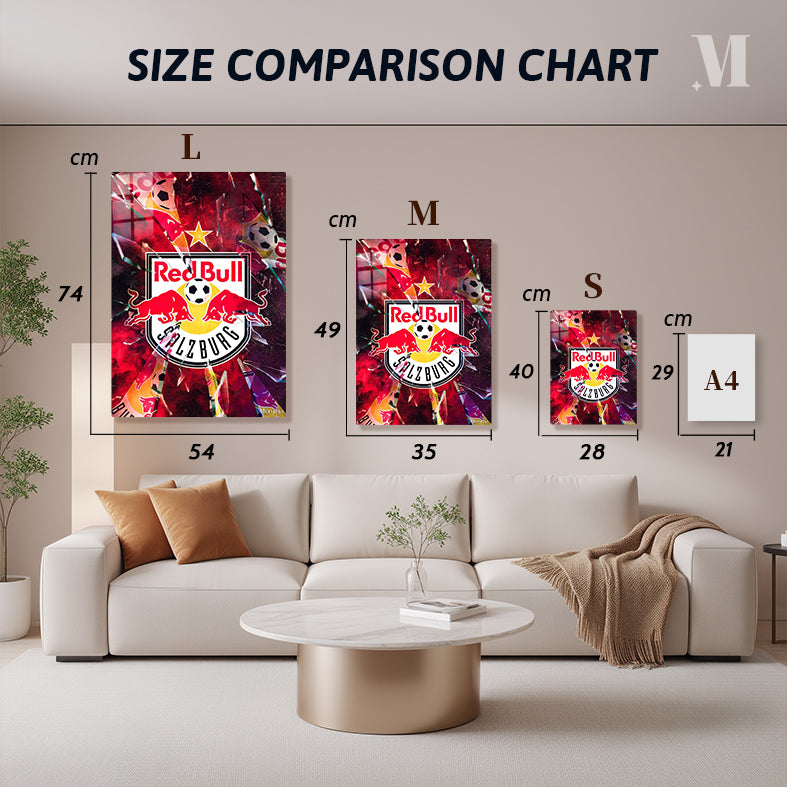 FC Salzburg poster