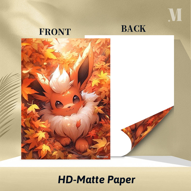 Flareon Pokemon D0801-25