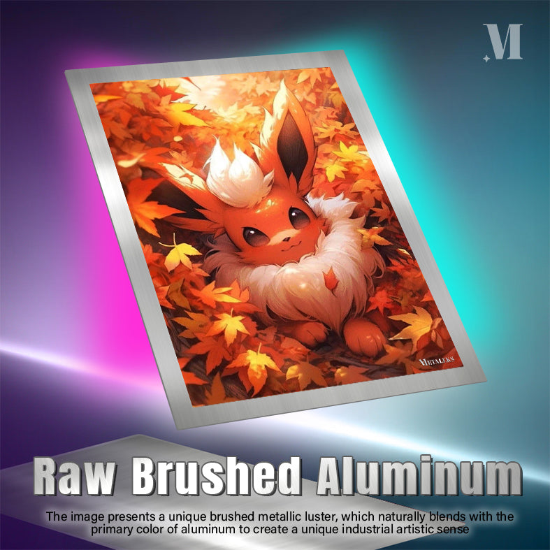 Flareon Pokemon D0801-25
