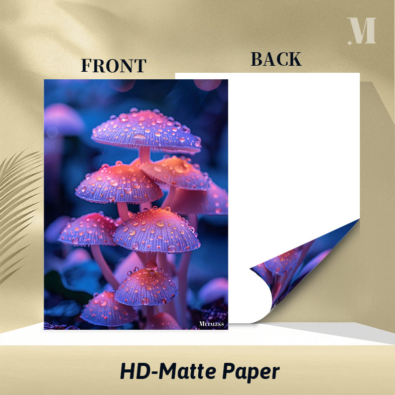 Glowing mushroom-M2611