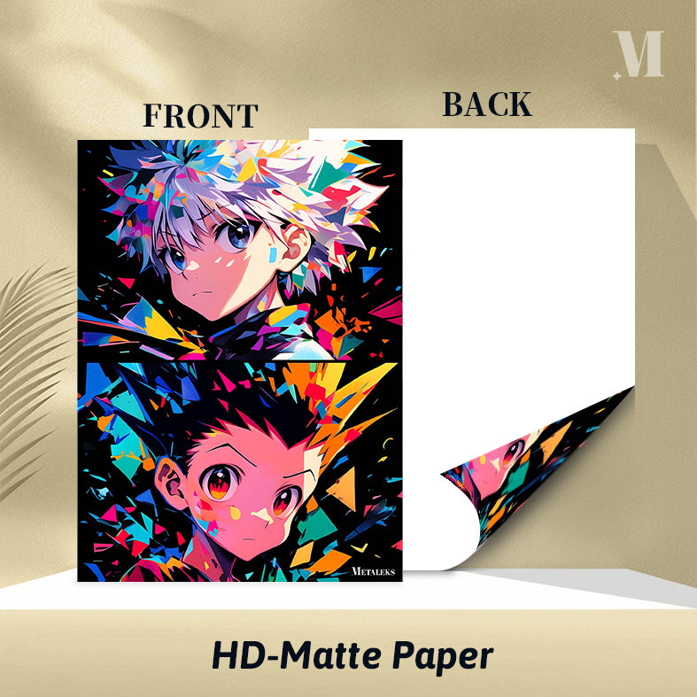 Gon & Killua Anime HxH