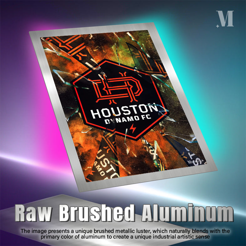 Houston Dynamo FC poster