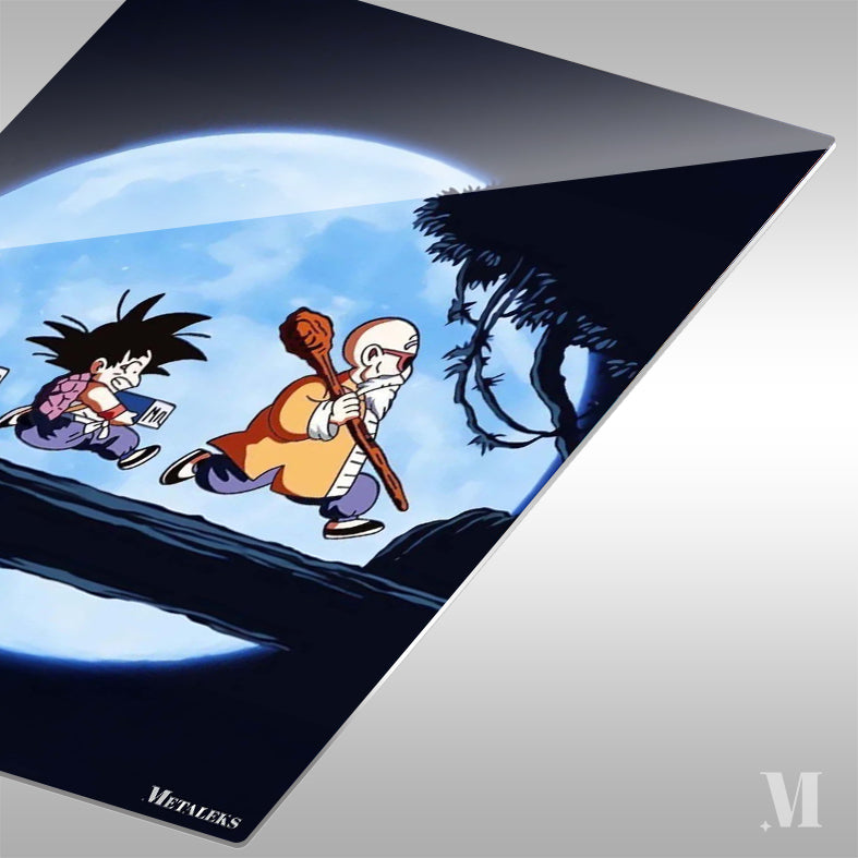 Krillin Goku Master Roshi Dragon Ball A0724