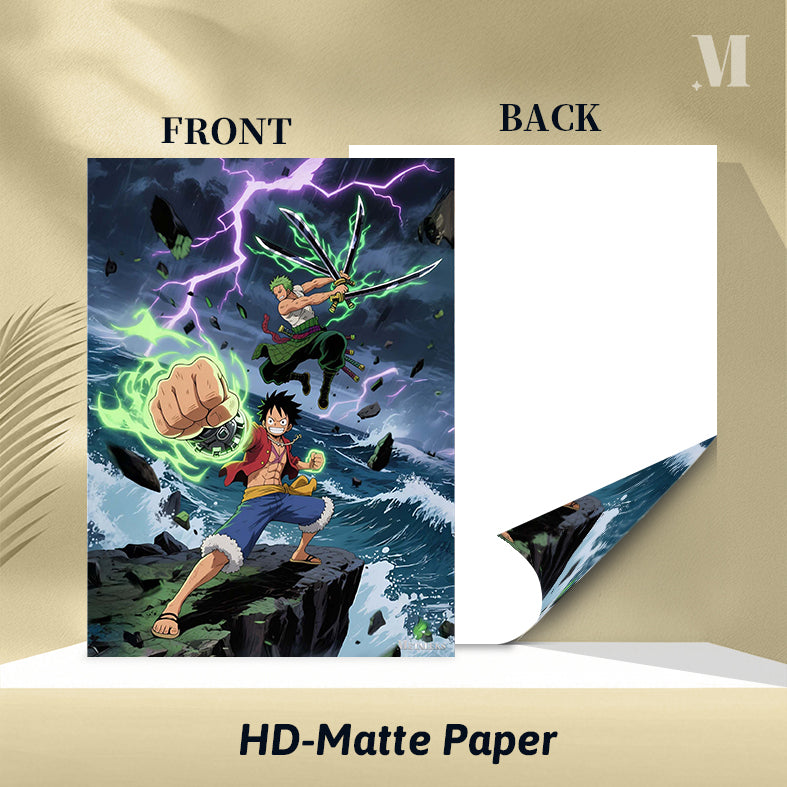 Luffy Zoro One Piece A0724