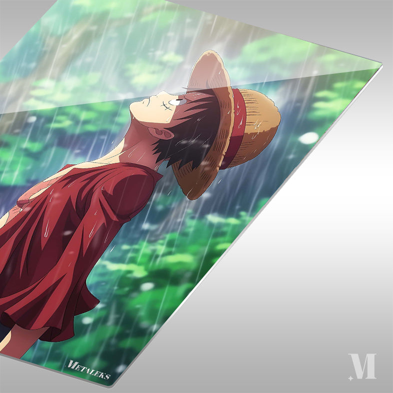 Luffy in the rain H0729-25