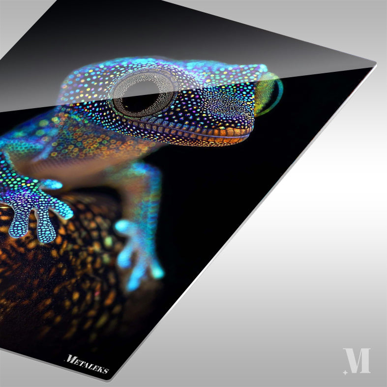 Luminous Frog