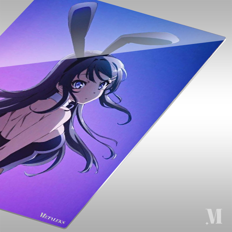Mai Sakurajima Rascal Does Not Dream of Bunny Girl Senpai D081225
