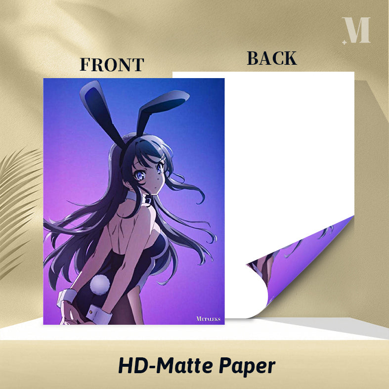 Mai Sakurajima Rascal Does Not Dream of Bunny Girl Senpai D081225