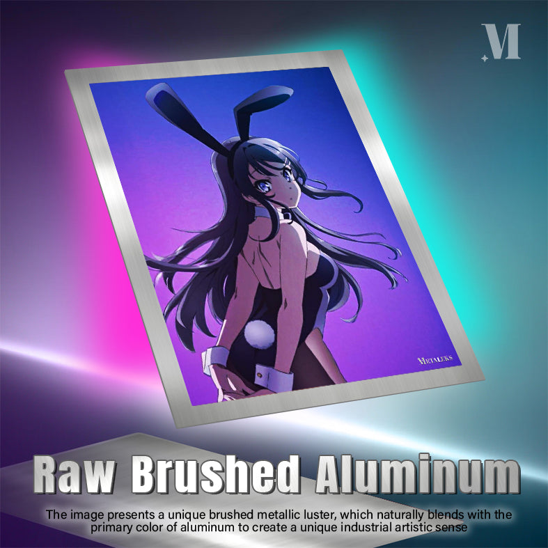 Mai Sakurajima Rascal Does Not Dream of Bunny Girl Senpai D081225