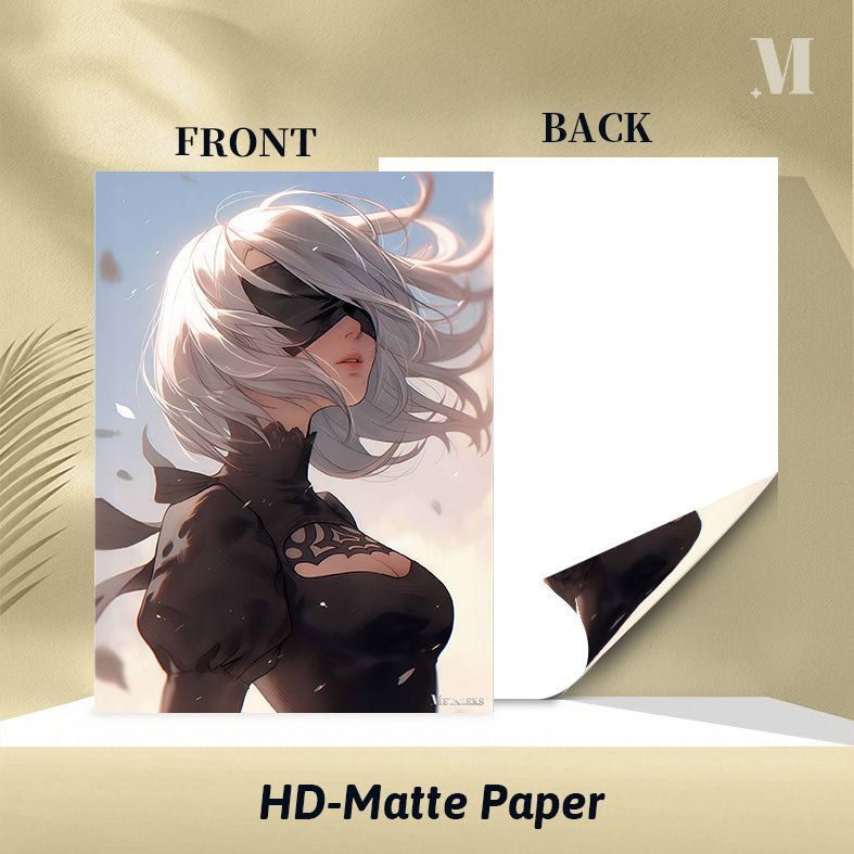 Nier 2b-5