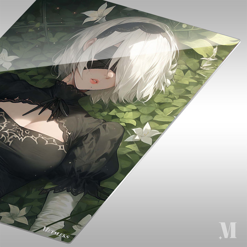 Nier 2b-6