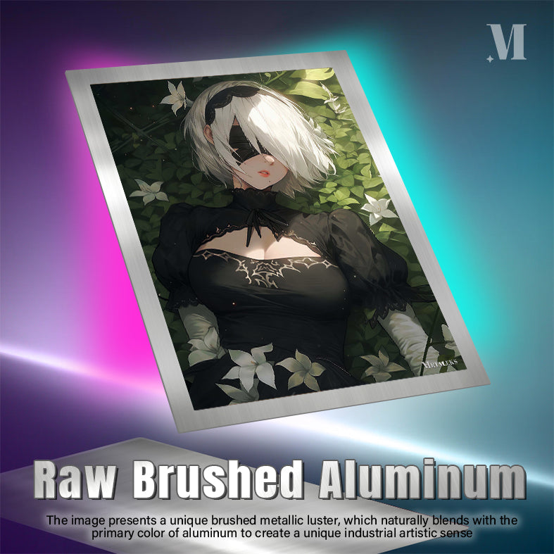 Nier 2b-6