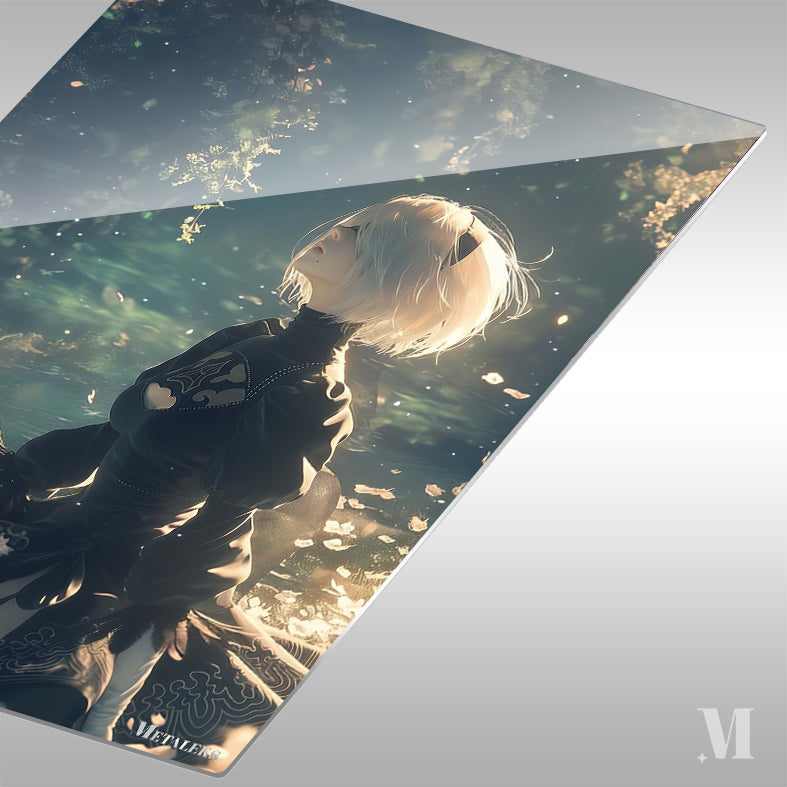 Nier 2b-9