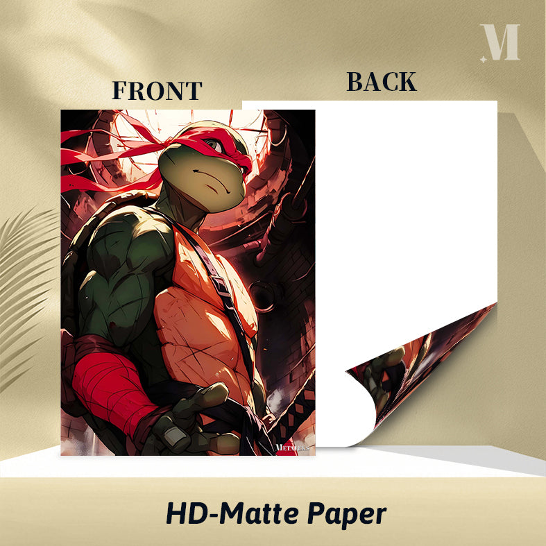 Ninja Turtle Raphael-1