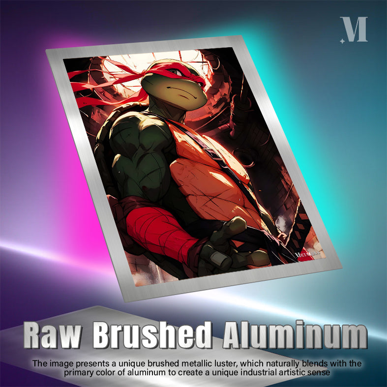 Ninja Turtle Raphael-1