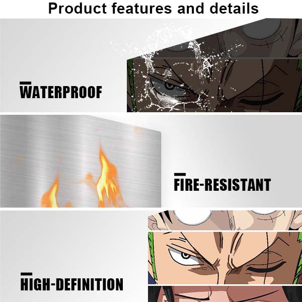 One Piece Pirates Movie