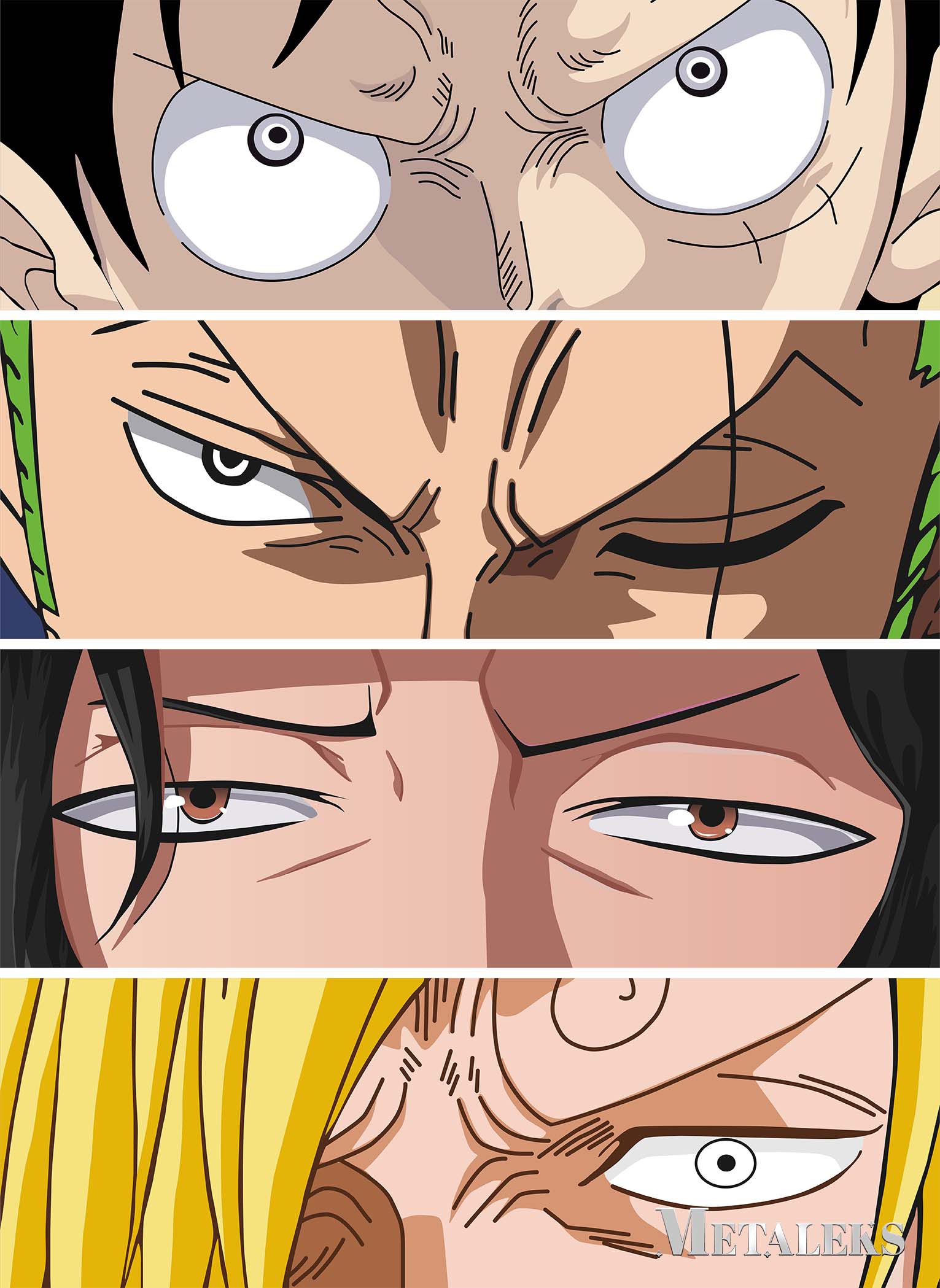 One Piece Pirates Movie