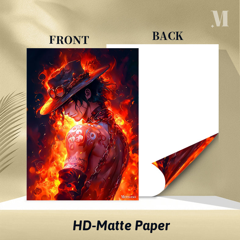 Portgas D. Ace One Piece C080925