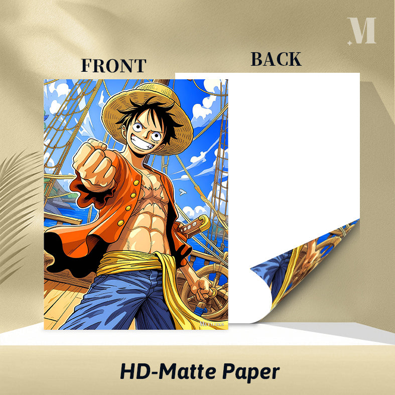 R020 one pieces luffy