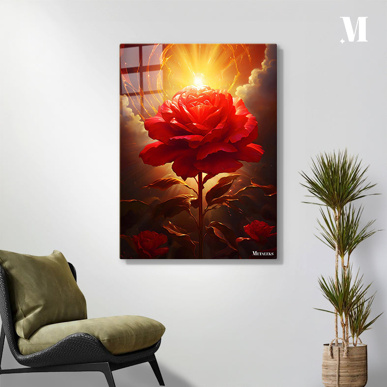 Rose in Sunshine