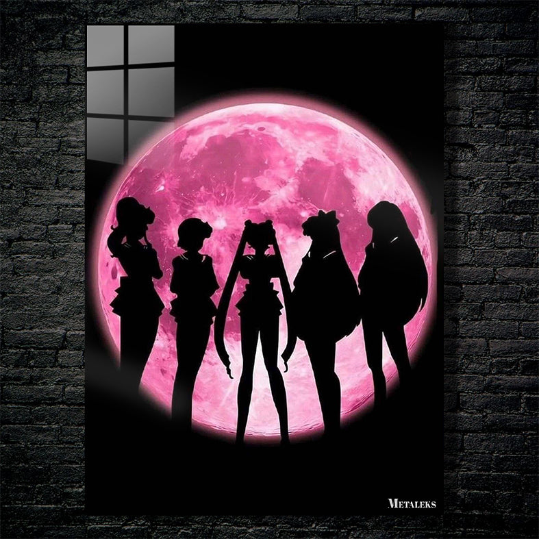 Sailor Venus Sailor Mercury Sailor Moon Sailor Jupiter Sailor Mars Sailor Moon A0722