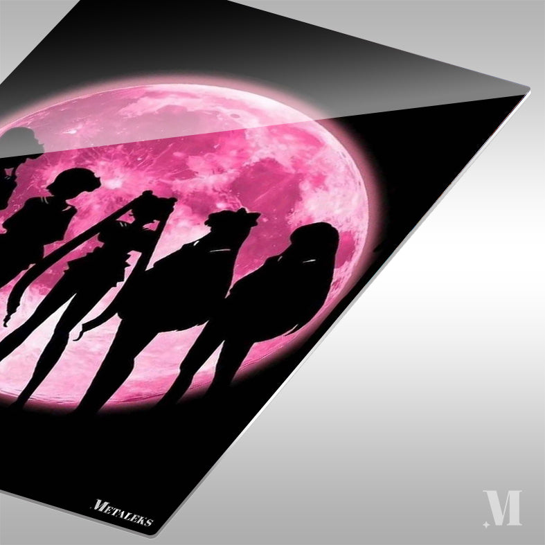 Sailor Venus Sailor Mercury Sailor Moon Sailor Jupiter Sailor Mars Sailor Moon A0722