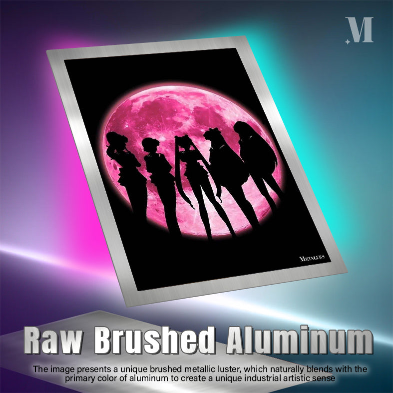 Sailor Venus Sailor Mercury Sailor Moon Sailor Jupiter Sailor Mars Sailor Moon A0722