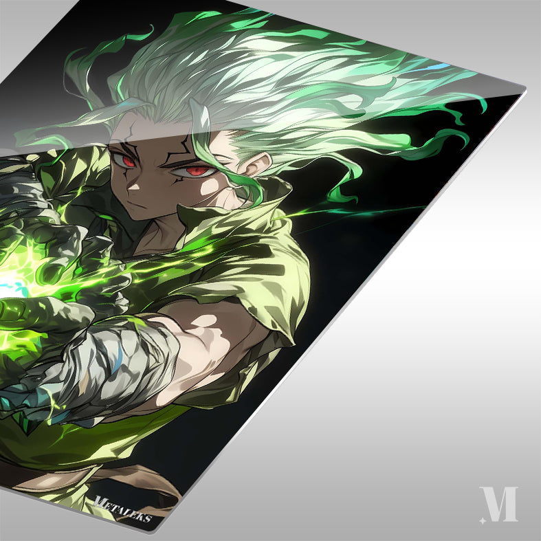 Senku Ishigami Dr. Stone ZeetArt