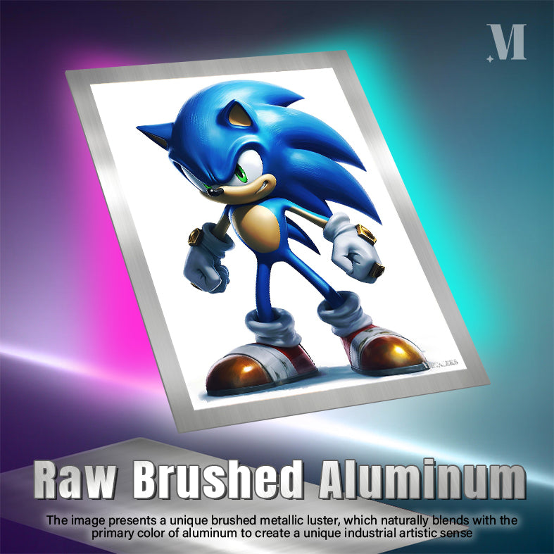 Sonic The Hedgehog 2