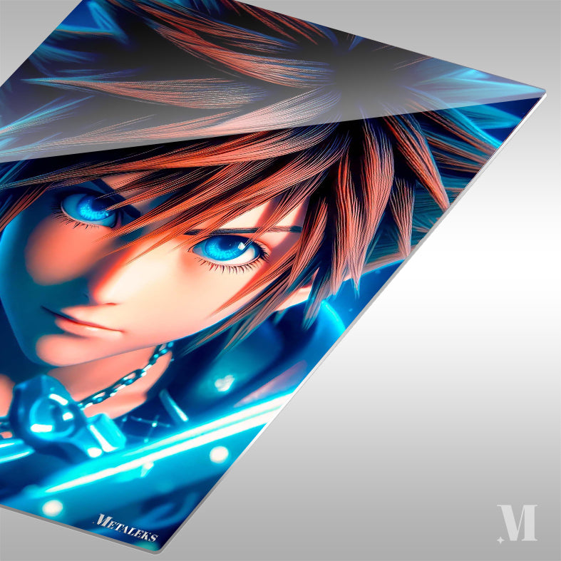 Sora Kingdom Hearth