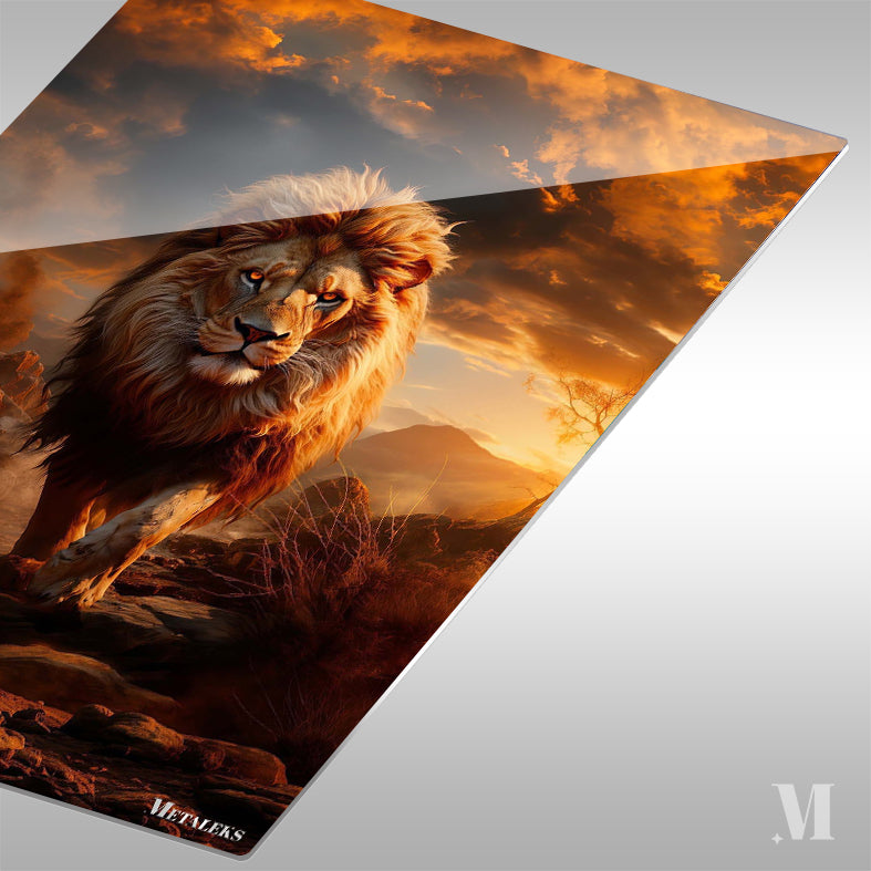 The Lion king