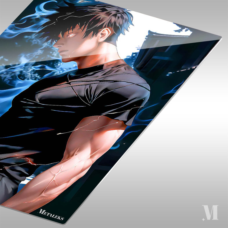 Toji Fushiguro Poster